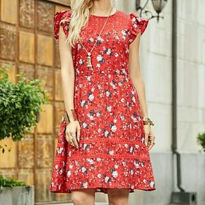 Ladies Dress 2X